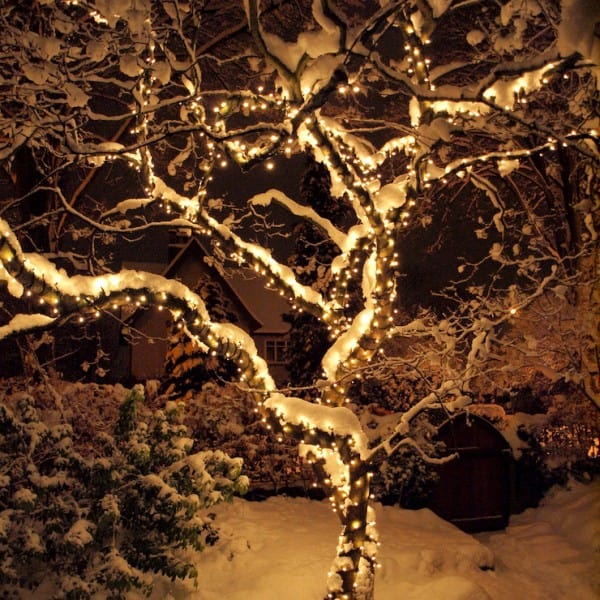 Les branches d&rsquo;un arbre soulignées de lumières : sous la neige, l&rsquo;effet est spectaculaire