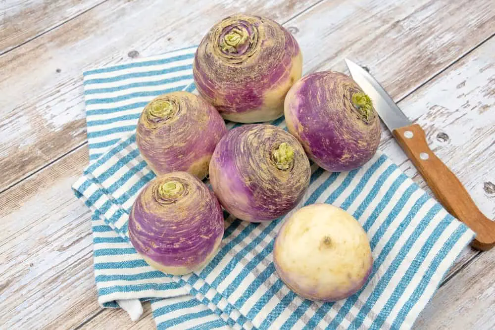 Il existe de nombreuses façons de préparer le navet en cuisine
